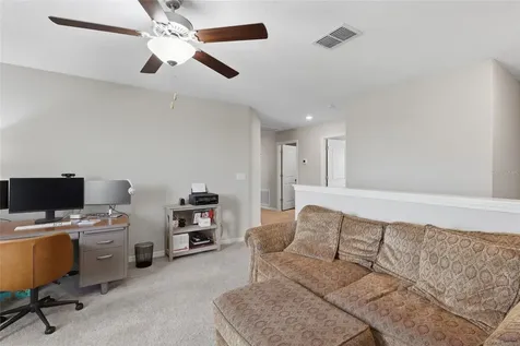 5052 White Chicory Drive Apollo Beach FL 33572