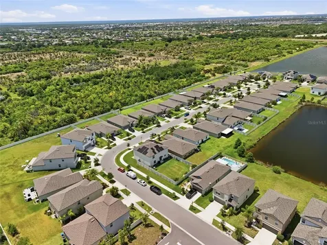5052 White Chicory Drive Apollo Beach FL 33572