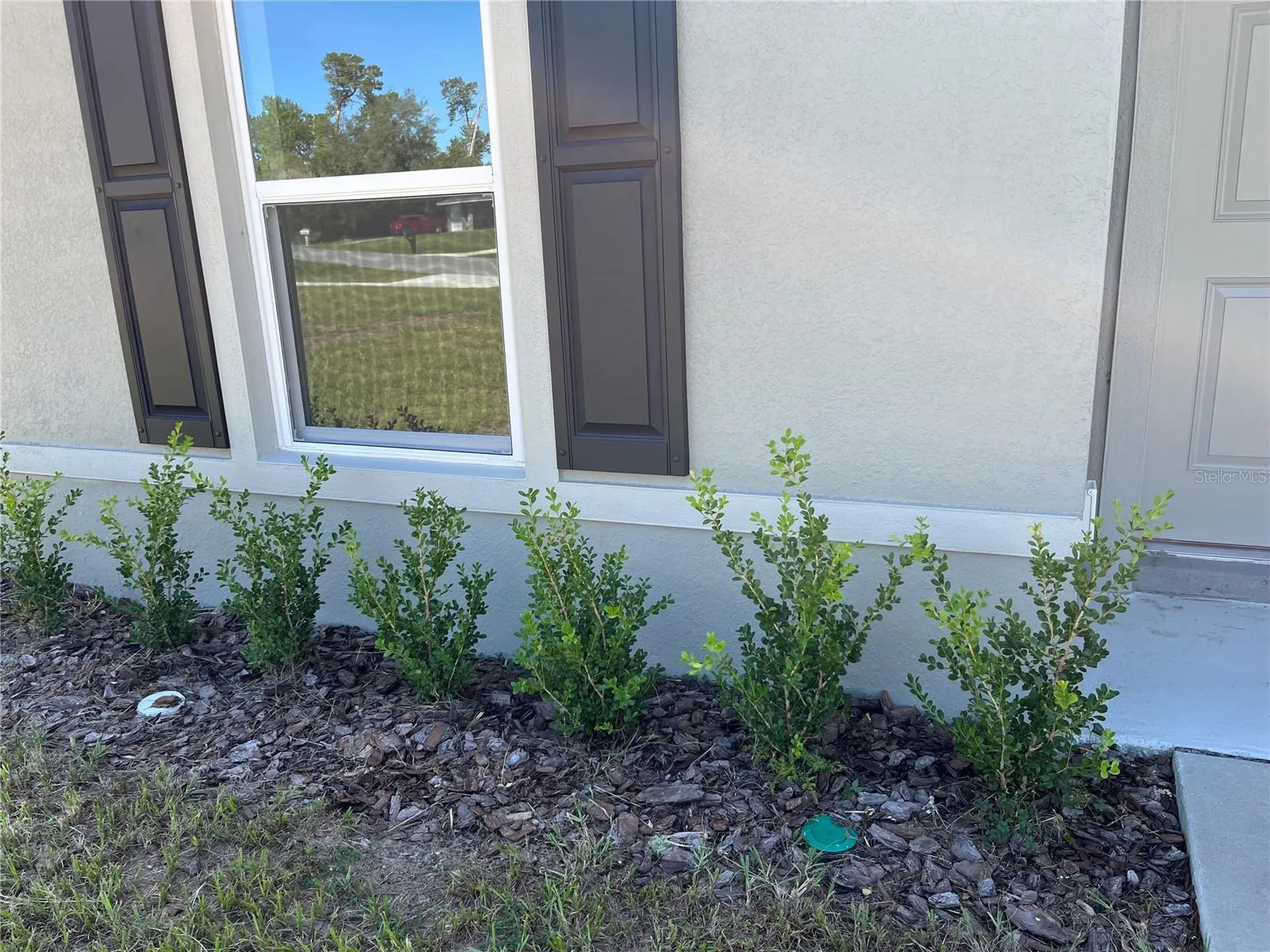 3402 SW 165th Loop Ocala FL 34473