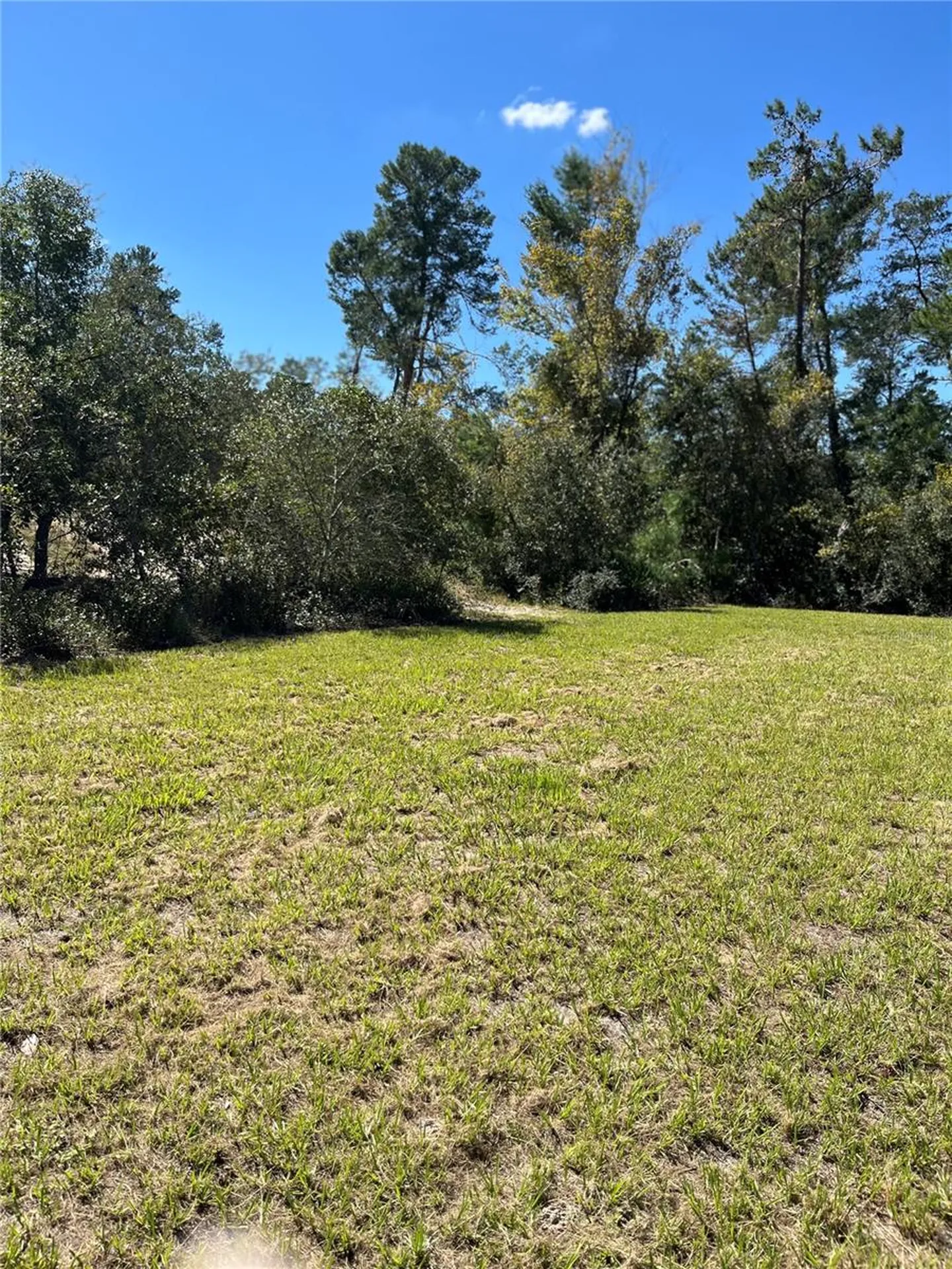 3402 SW 165th Loop Ocala FL 34473