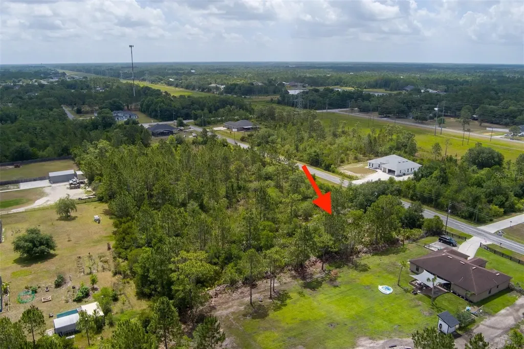 Nettleton Street Orlando FL 32833