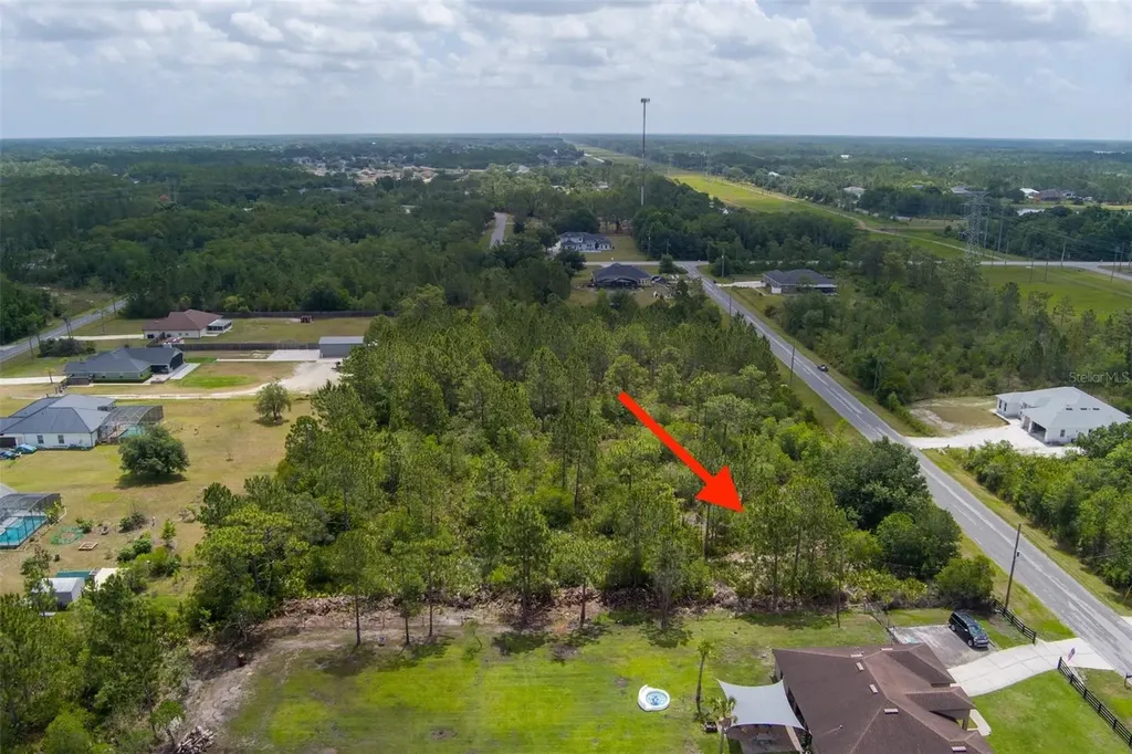 Nettleton Street Orlando FL 32833