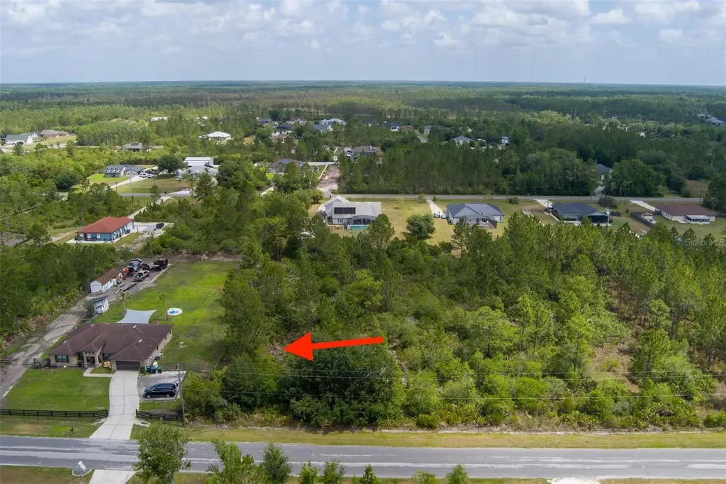 Nettleton Street Orlando FL 32833