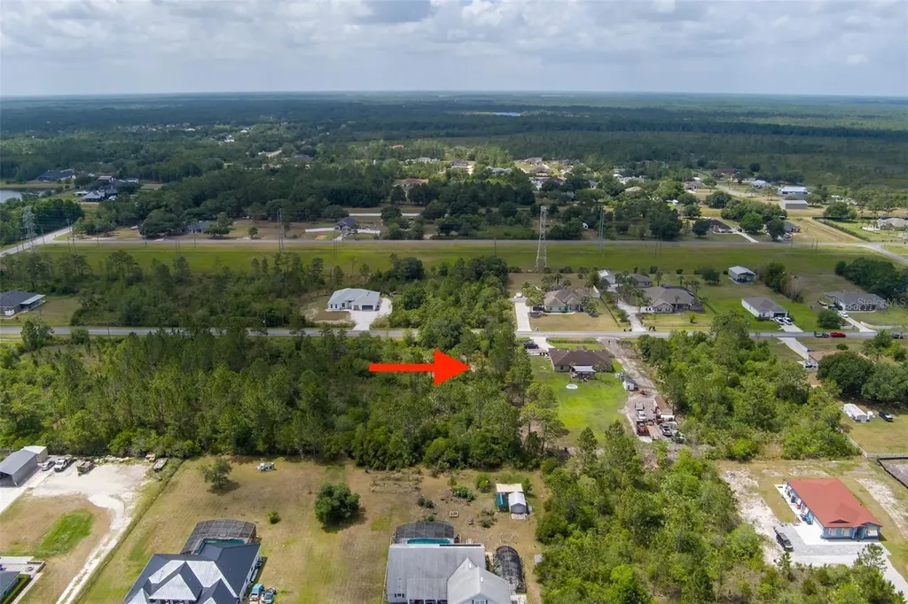 Nettleton Street Orlando FL 32833