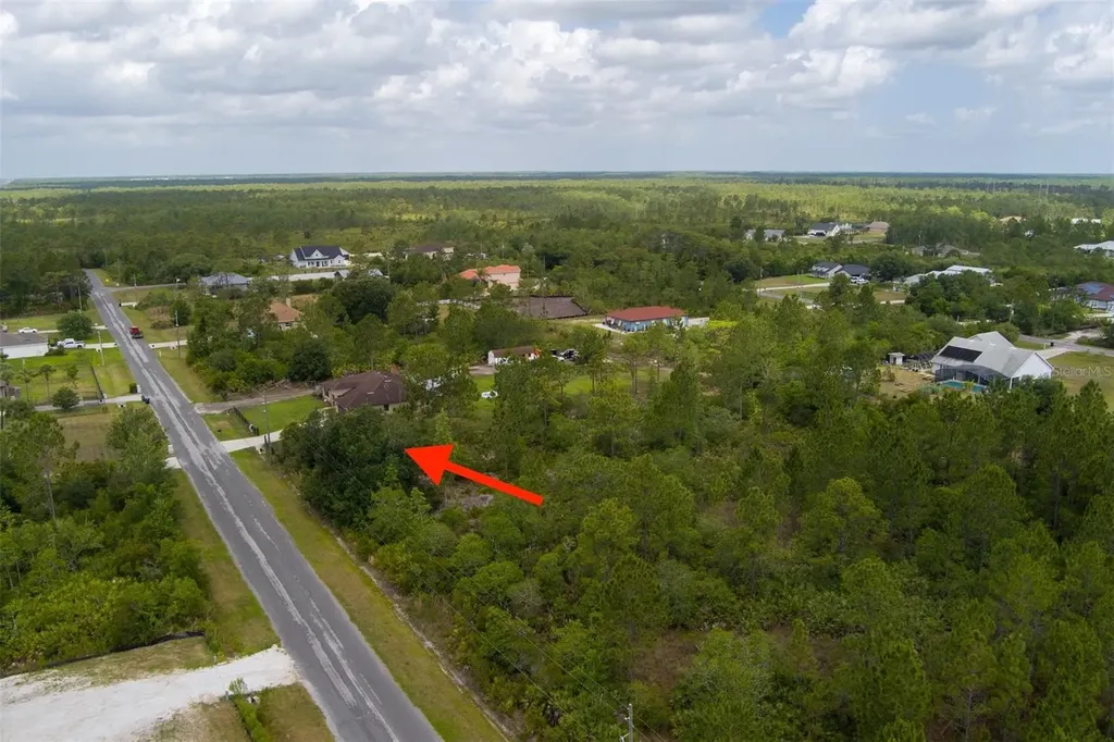 Nettleton Street Orlando FL 32833
