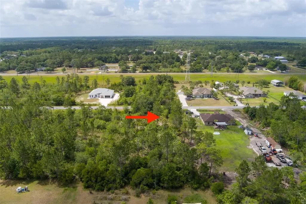 Nettleton Street Orlando FL 32833