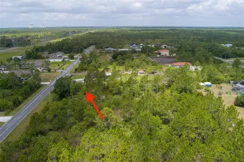 Nettleton Street Orlando FL 32833