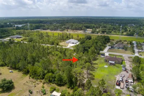 Nettleton Street Orlando FL 32833