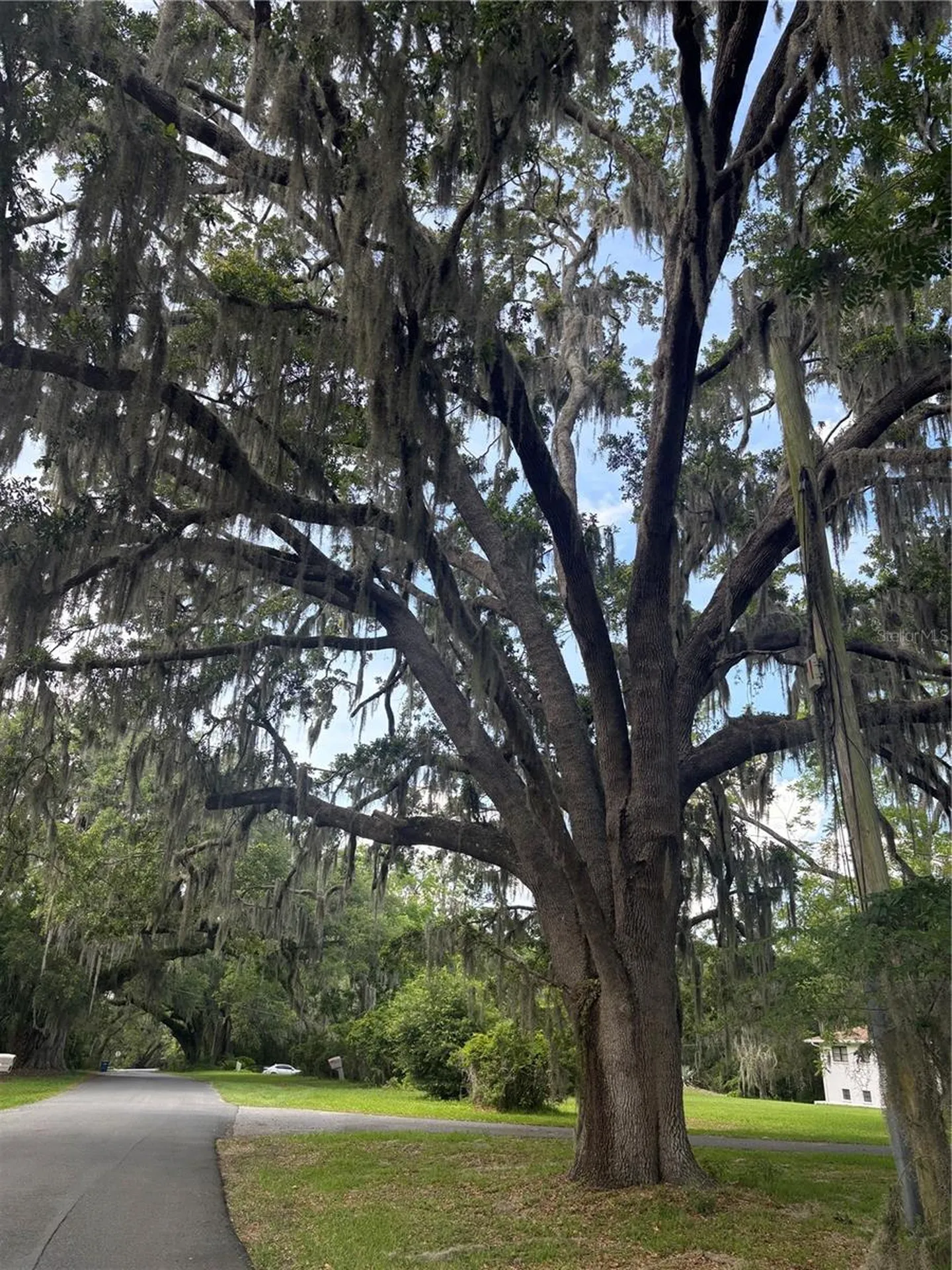 Mildred Avenue Brooksville FL 34601