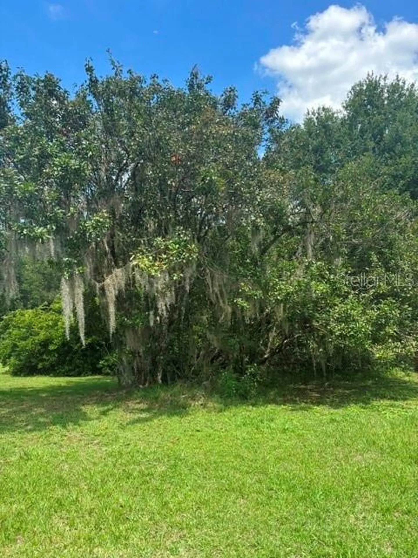 Mildred Avenue Brooksville FL 34601