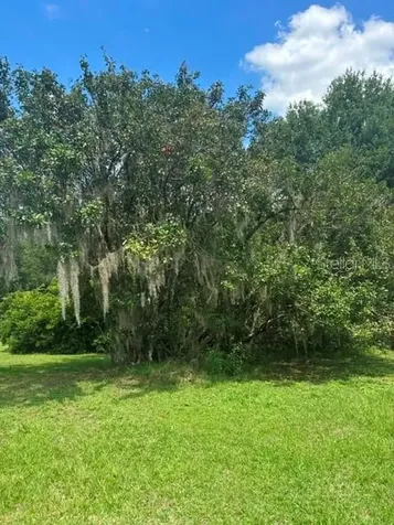 Mildred Avenue Brooksville FL 34601
