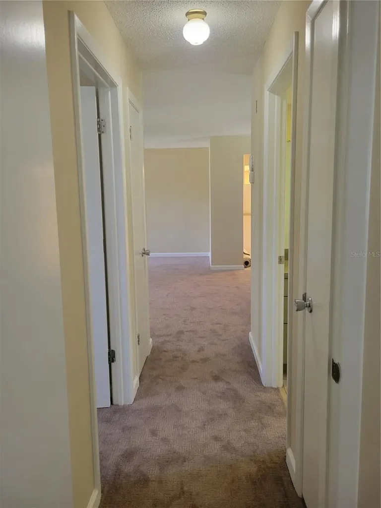 9022 Lingrove Road Weeki Wachee FL 34613