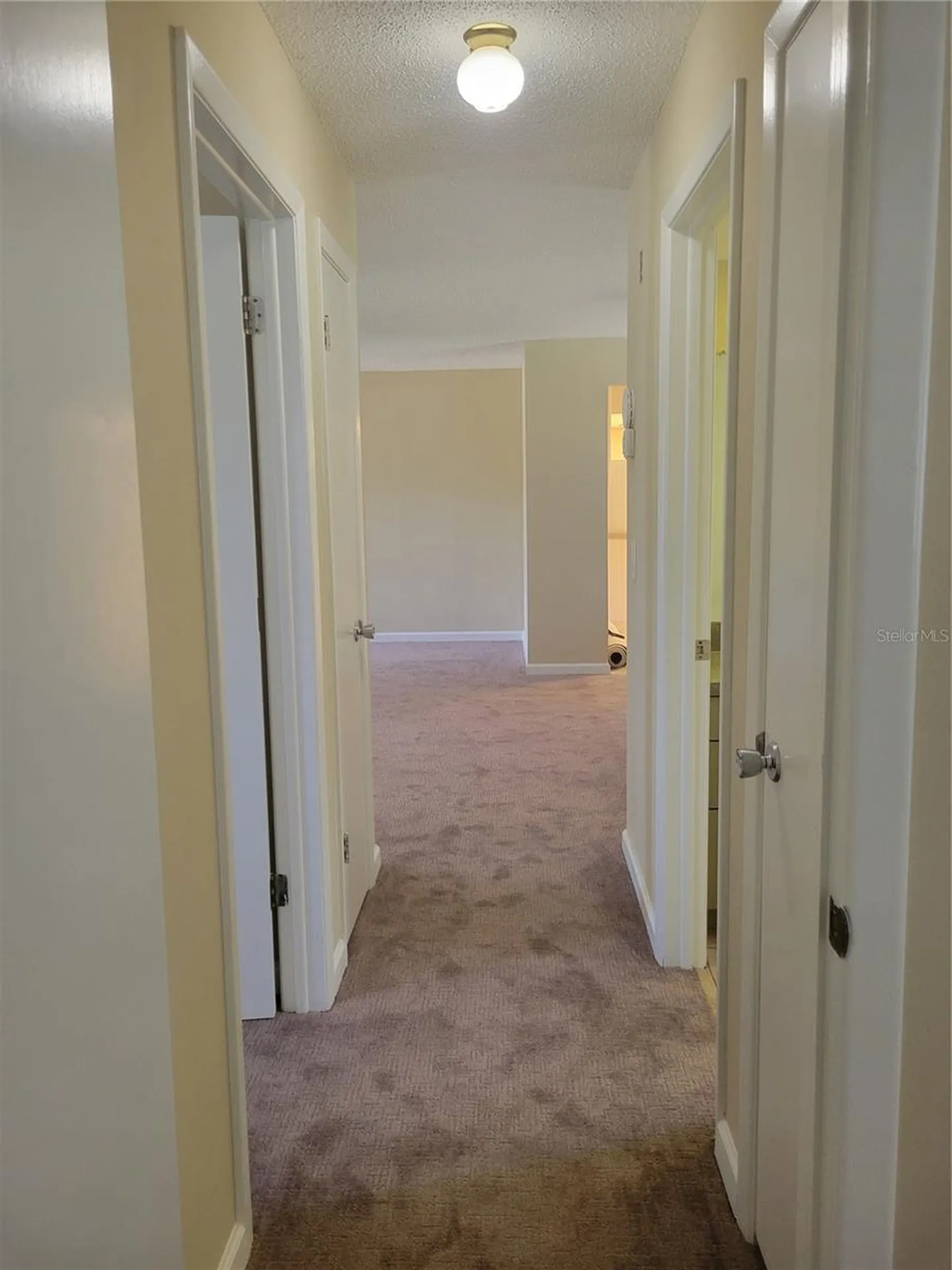 9022 Lingrove Road Weeki Wachee FL 34613