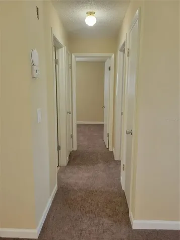 9022 Lingrove Road Weeki Wachee FL 34613