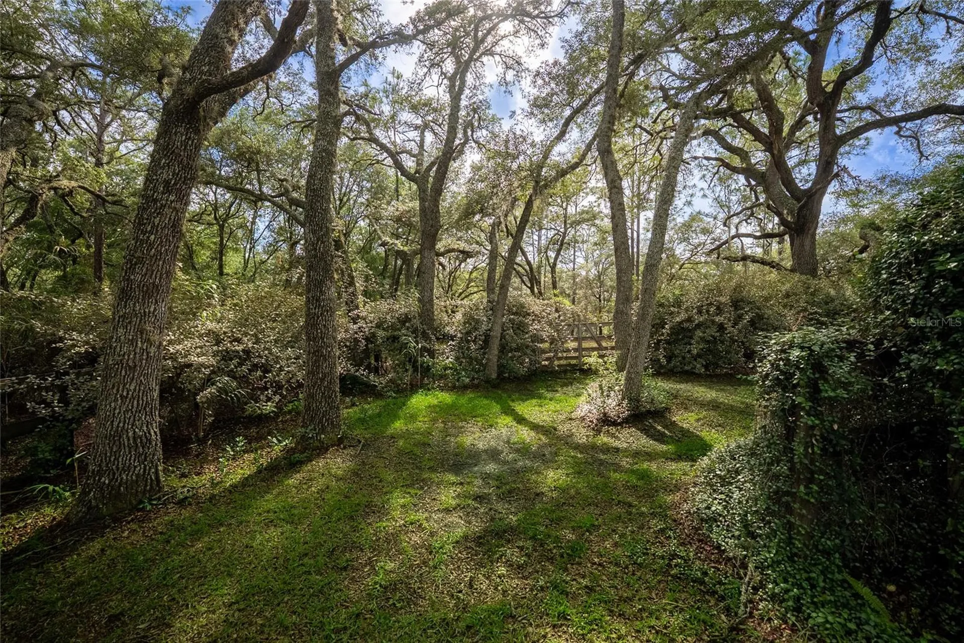 5042 SW 166th Court Road Ocala FL 34481