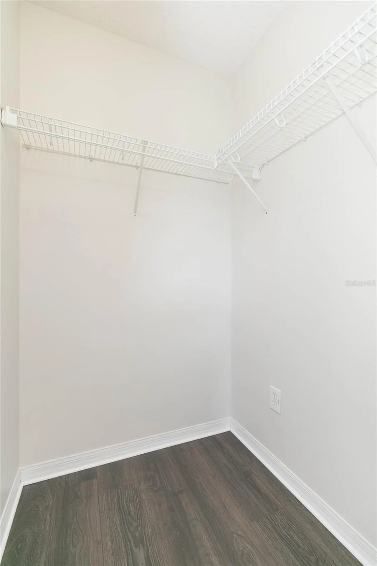 28632 Seashell Court Wesley Chapel FL 33545