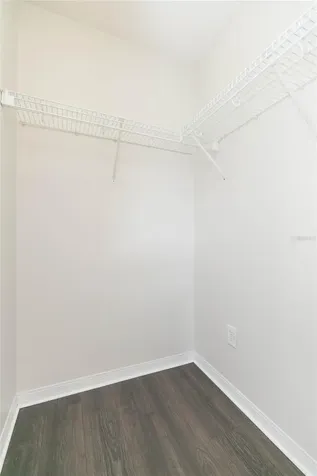 28632 Seashell Court Wesley Chapel FL 33545