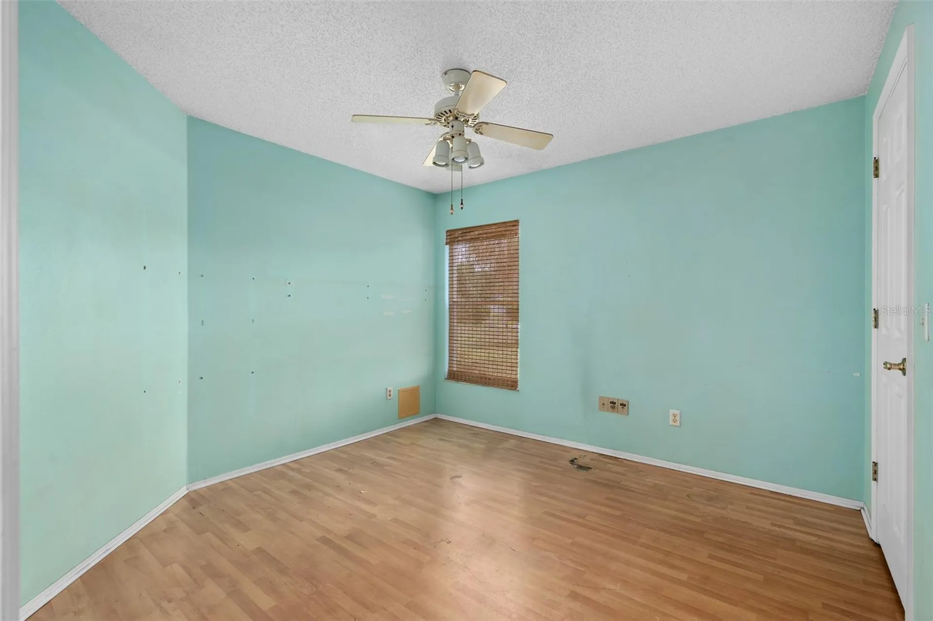 137 Madrona Drive Eustis FL 32726