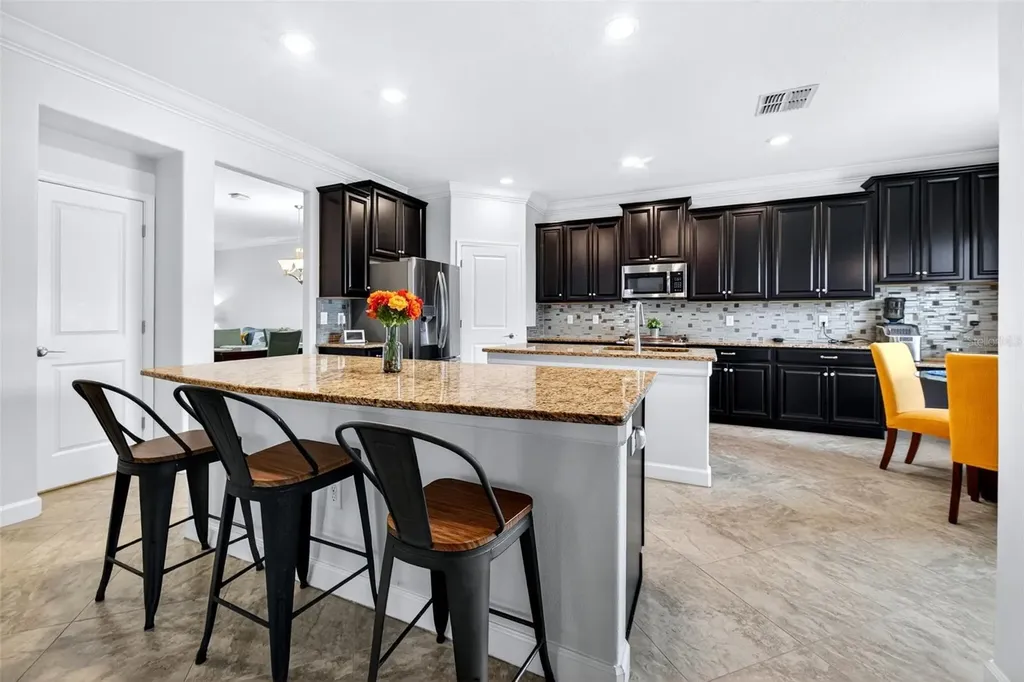 12005 Cinnamon Fern Drive Riverview FL 33579