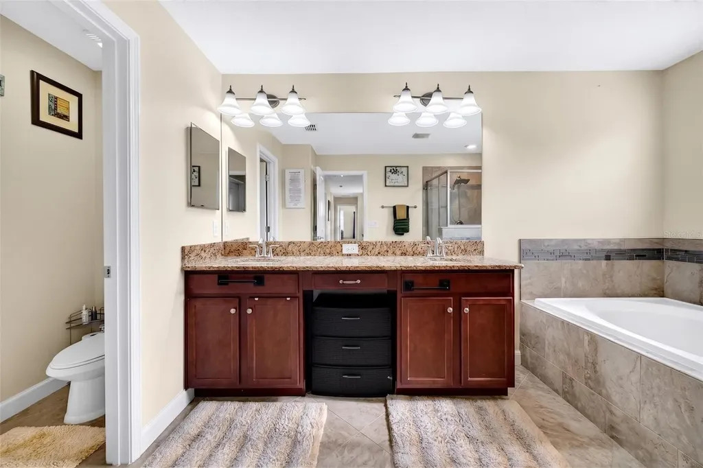 12005 Cinnamon Fern Drive Riverview FL 33579