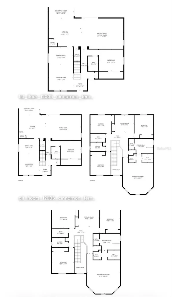 12005 Cinnamon Fern Drive Riverview FL 33579