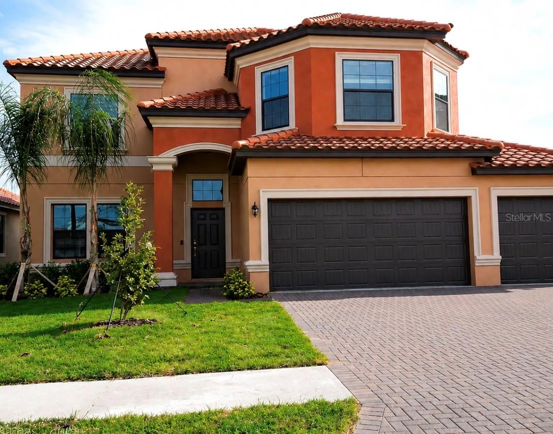 12005 Cinnamon Fern Drive Riverview FL 33579