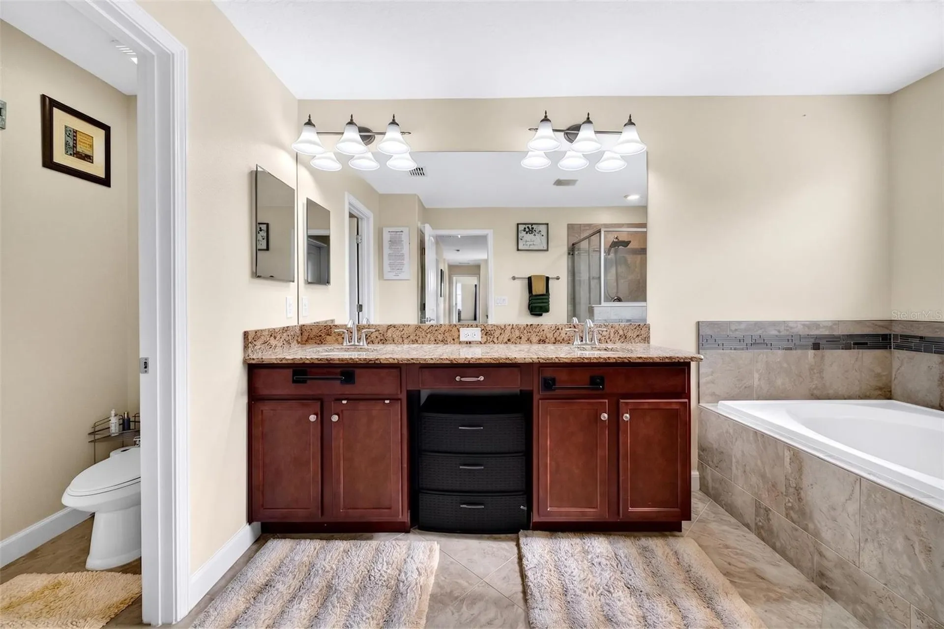 12005 Cinnamon Fern Drive Riverview FL 33579