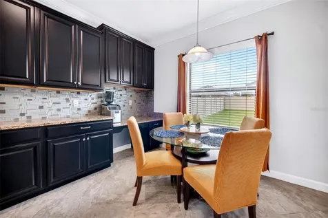 12005 Cinnamon Fern Drive Riverview FL 33579