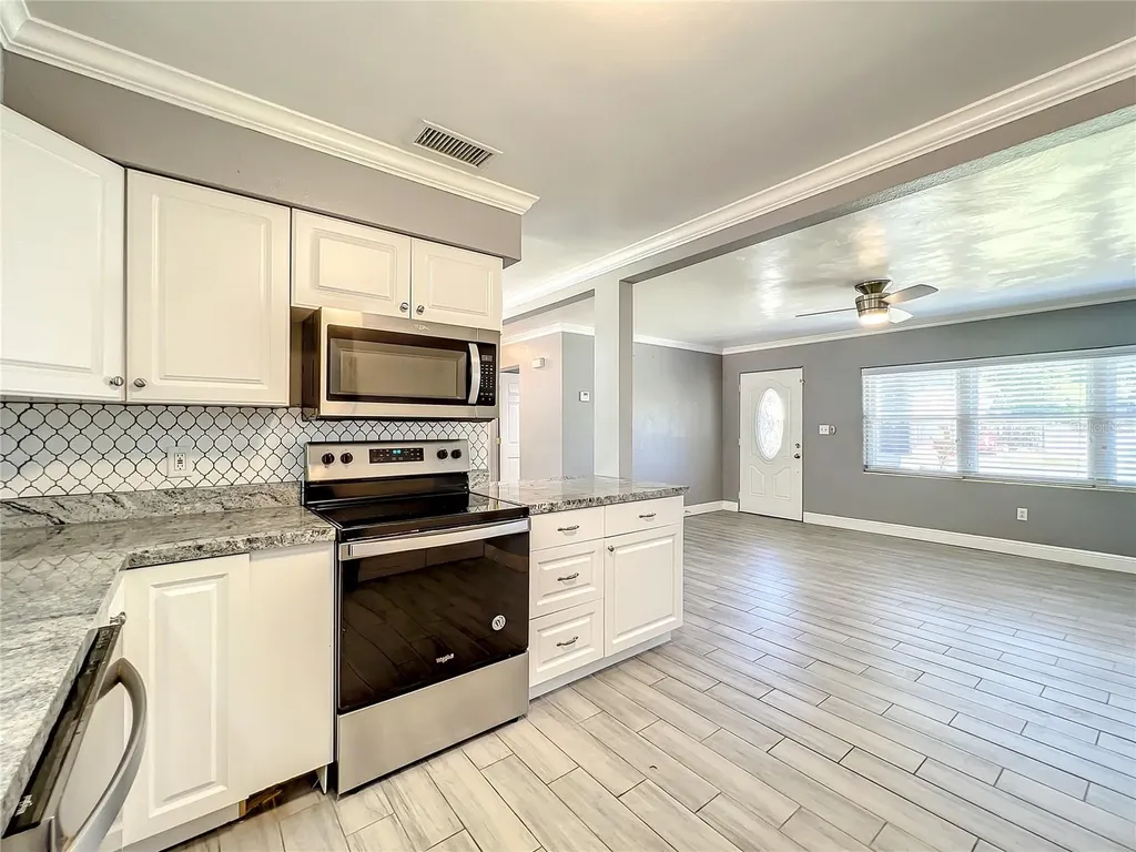 1006 E 11th Avenue Mount Dora FL 32757