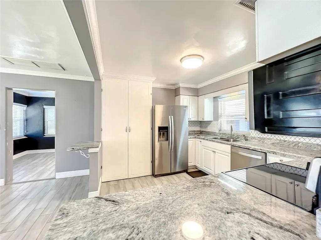 1006 E 11th Avenue Mount Dora FL 32757