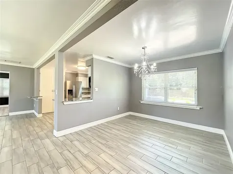 1006 E 11th Avenue Mount Dora FL 32757