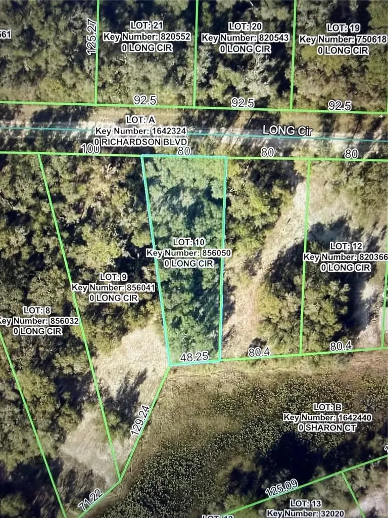 Long Circle Webster FL 33597