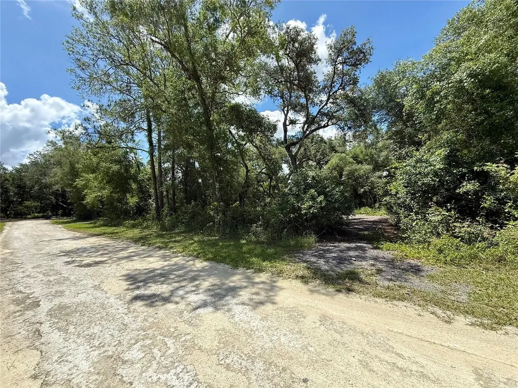 Long Circle Webster FL 33597