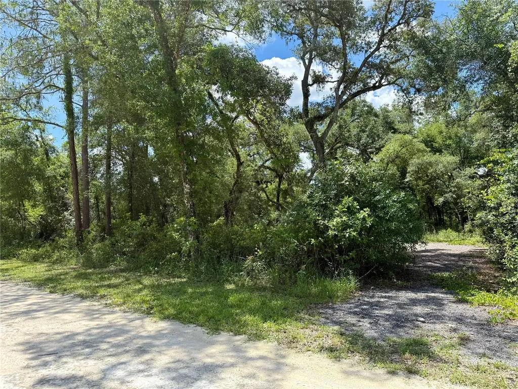 Long Circle Webster FL 33597