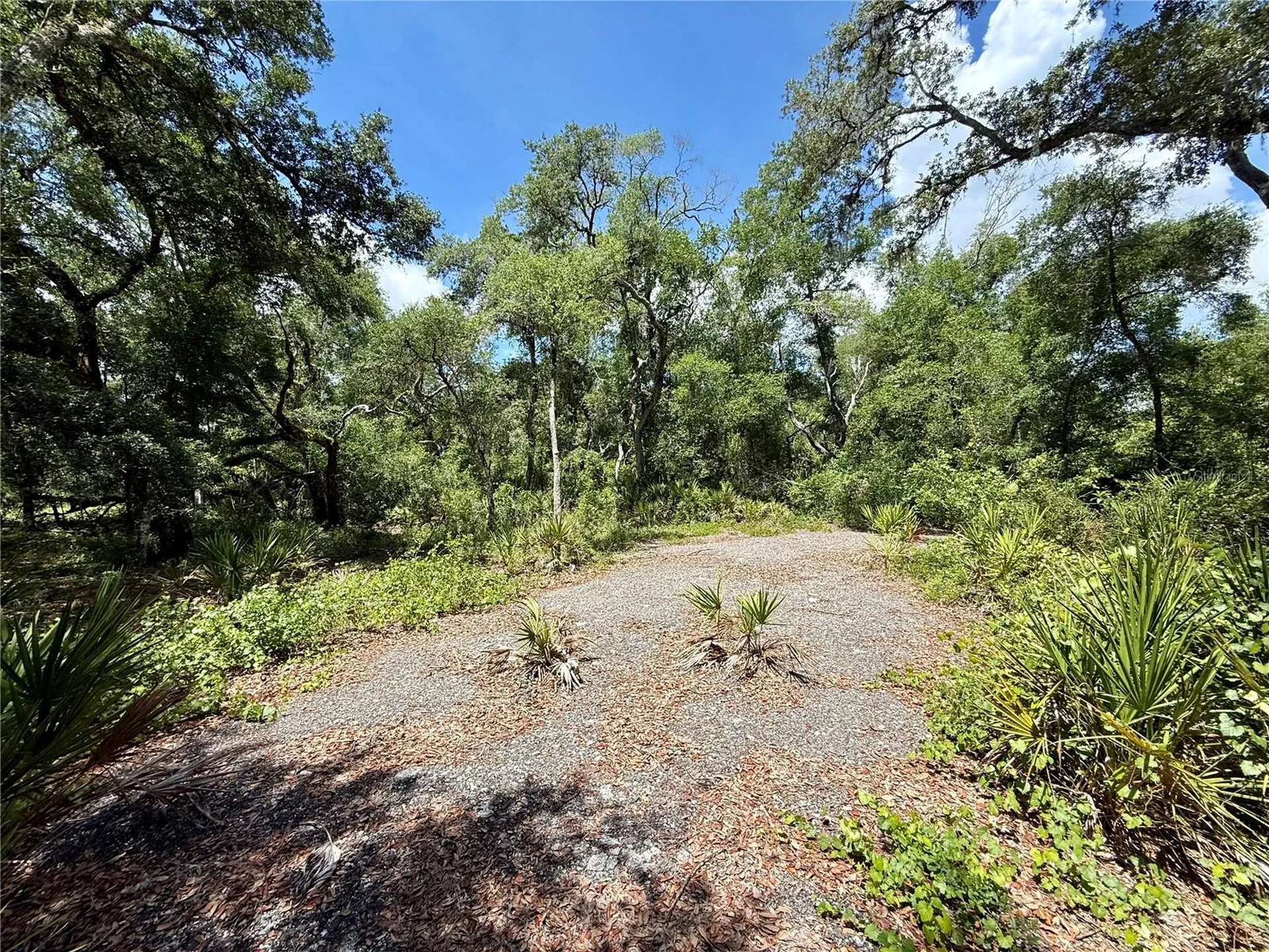 Long Circle Webster FL 33597