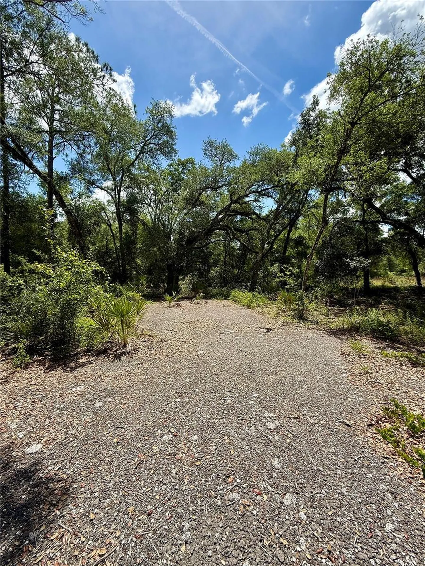 Long Circle Webster FL 33597