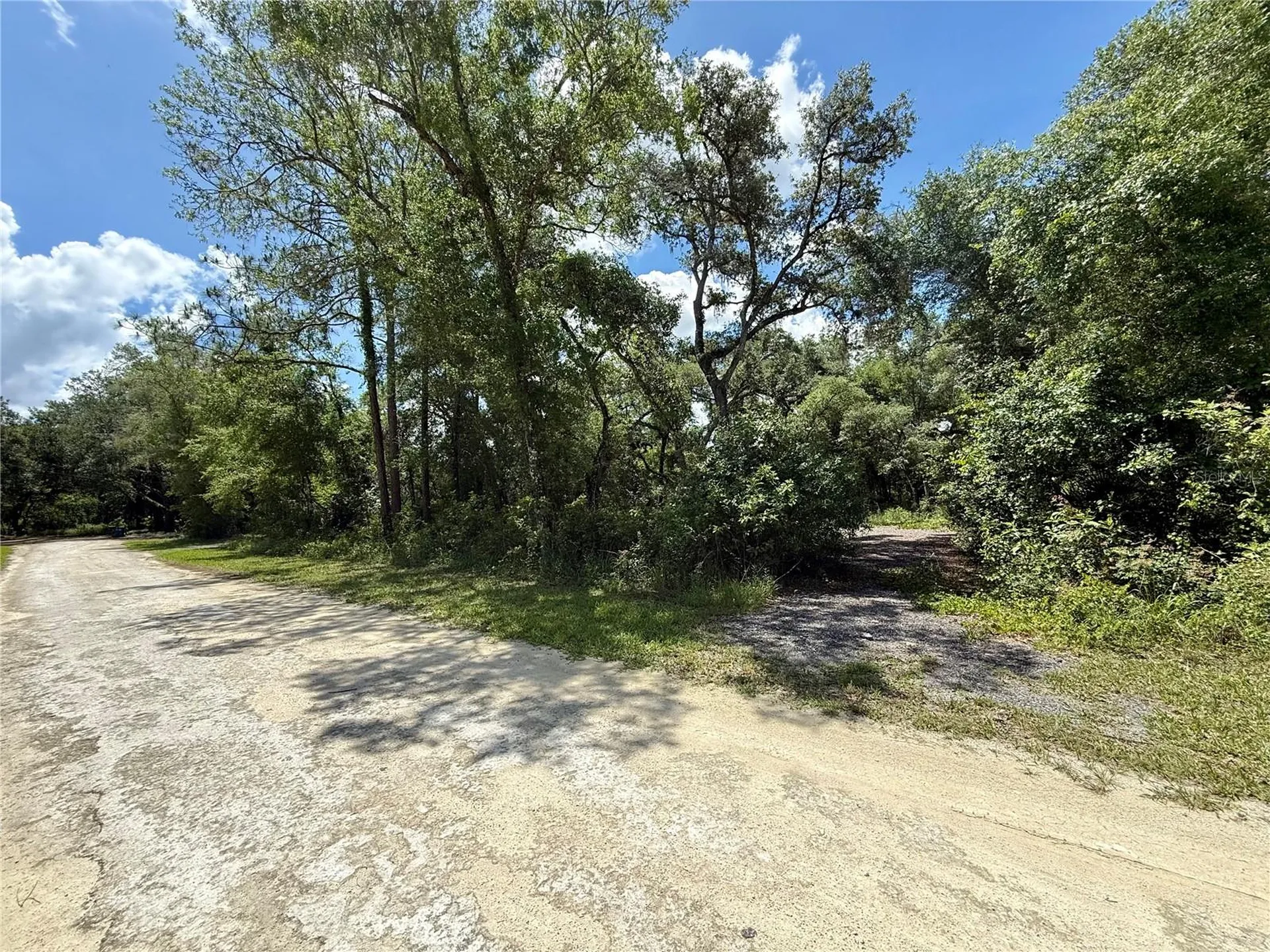 Long Circle Webster FL 33597