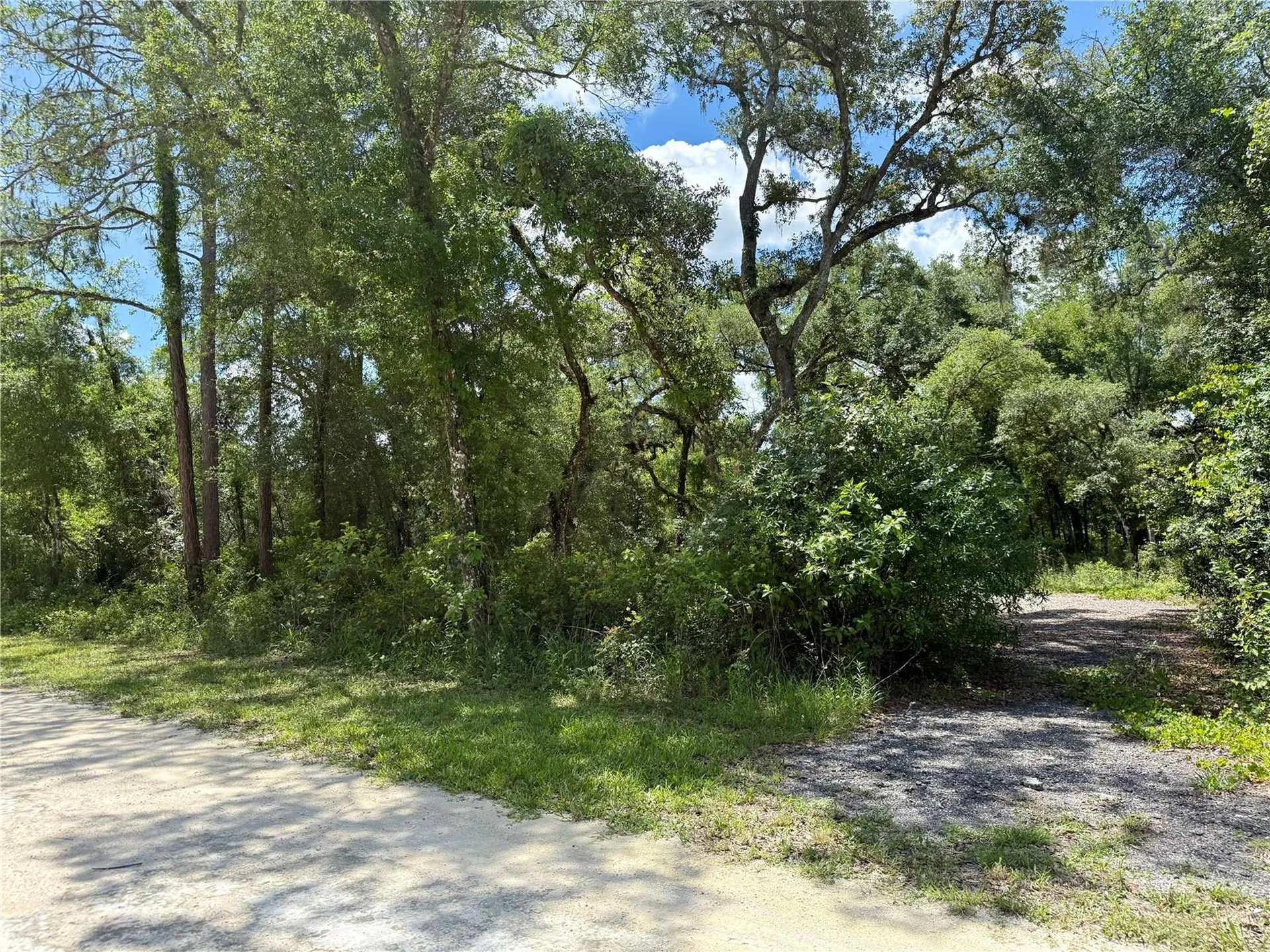 Long Circle Webster FL 33597