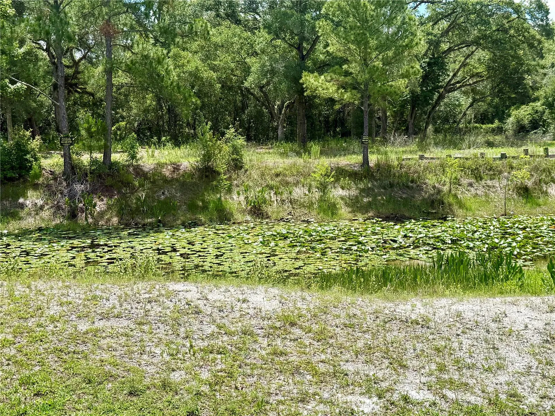 Long Circle Webster FL 33597