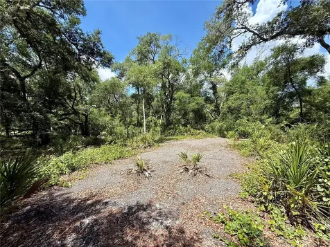 Long Circle Webster FL 33597
