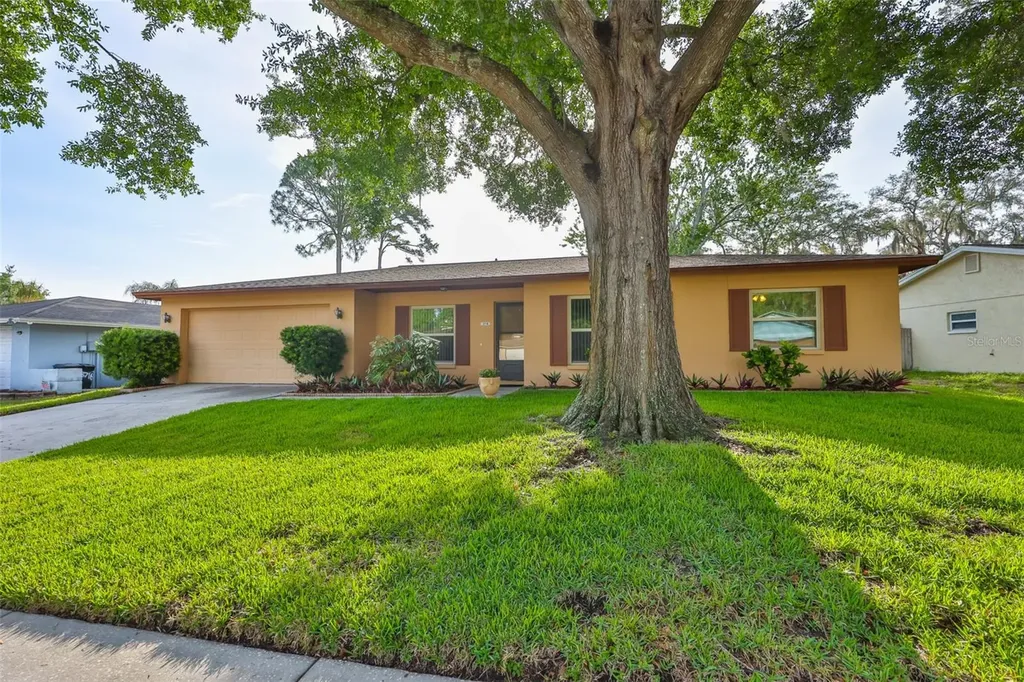 3718 Sand Pebble Drive Valrico FL 33596