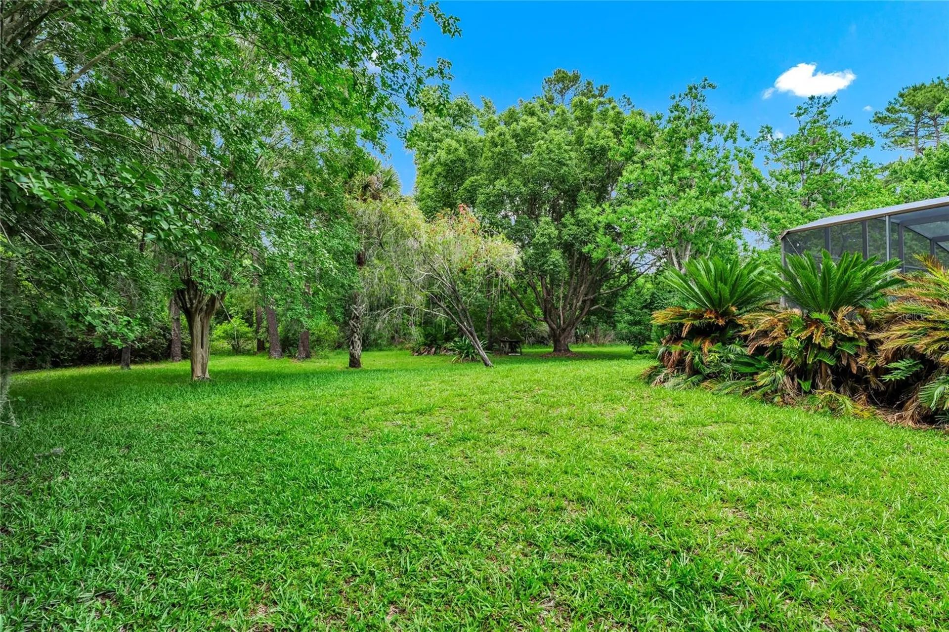 2798 Pickett Downs Drive Oviedo FL 32766