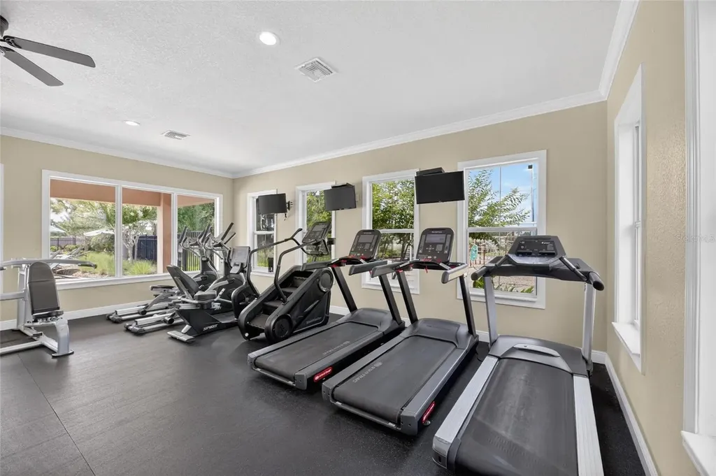 10802 Great Cormorant Drive Riverview FL 33579
