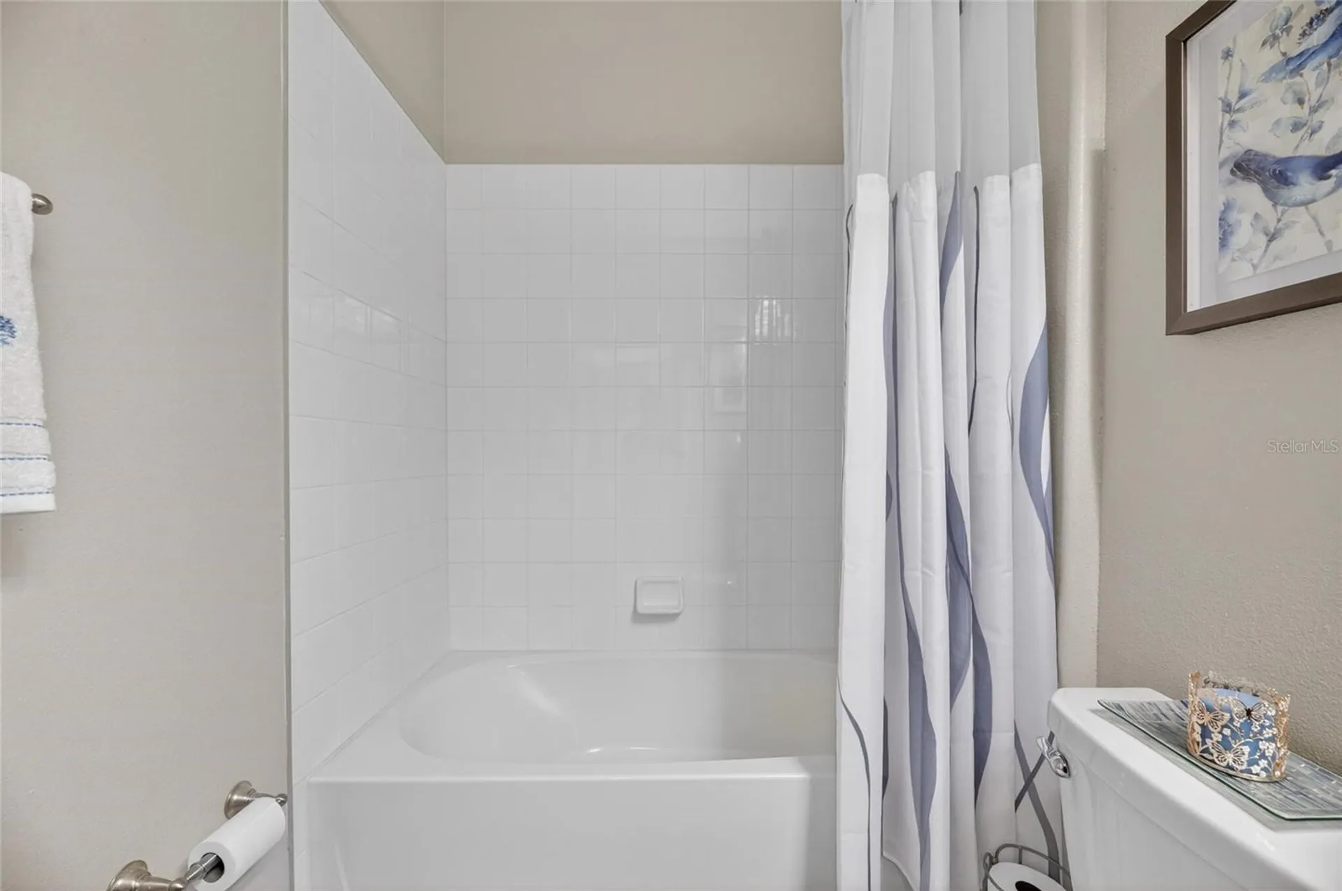10802 Great Cormorant Drive Riverview FL 33579