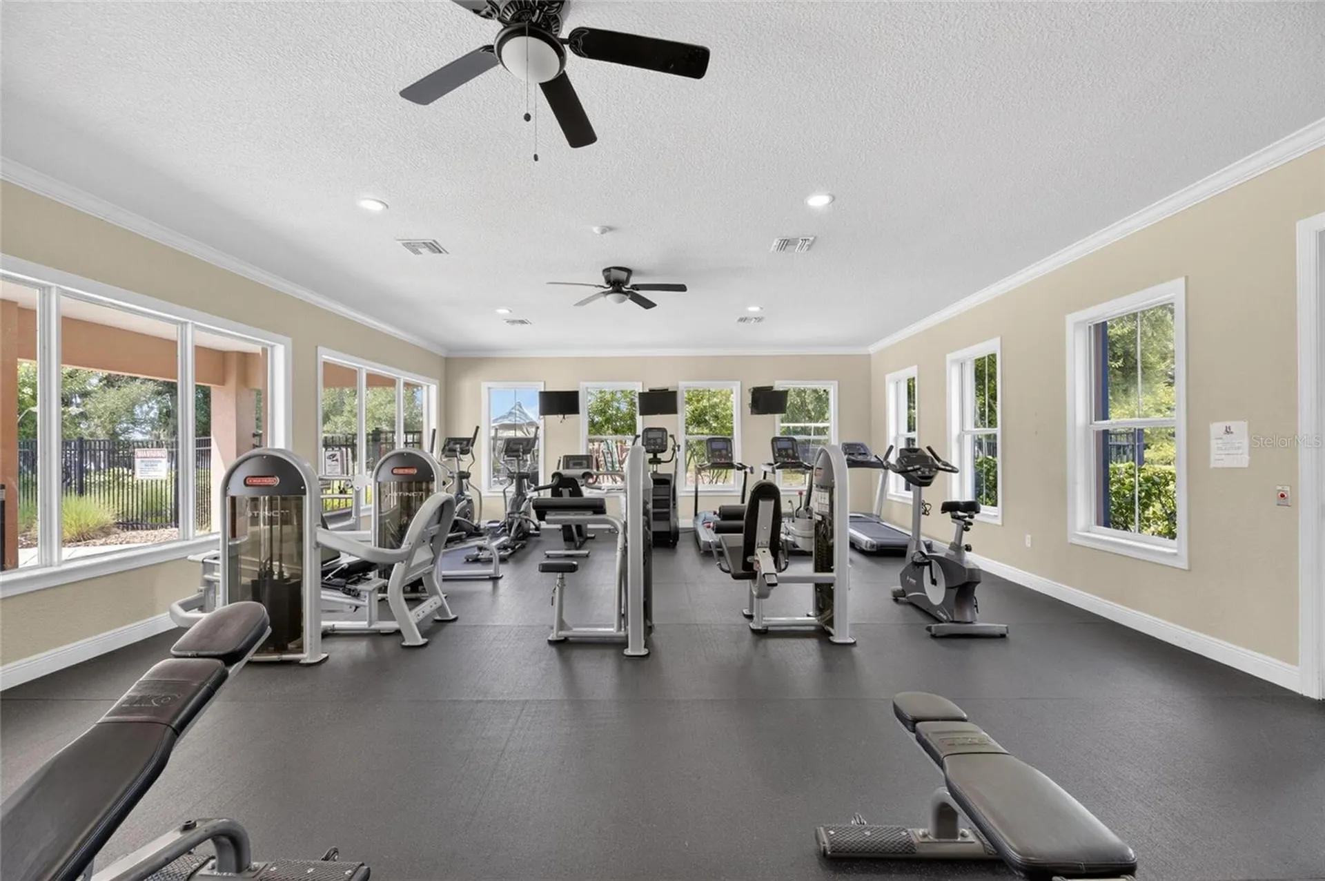 10802 Great Cormorant Drive Riverview FL 33579