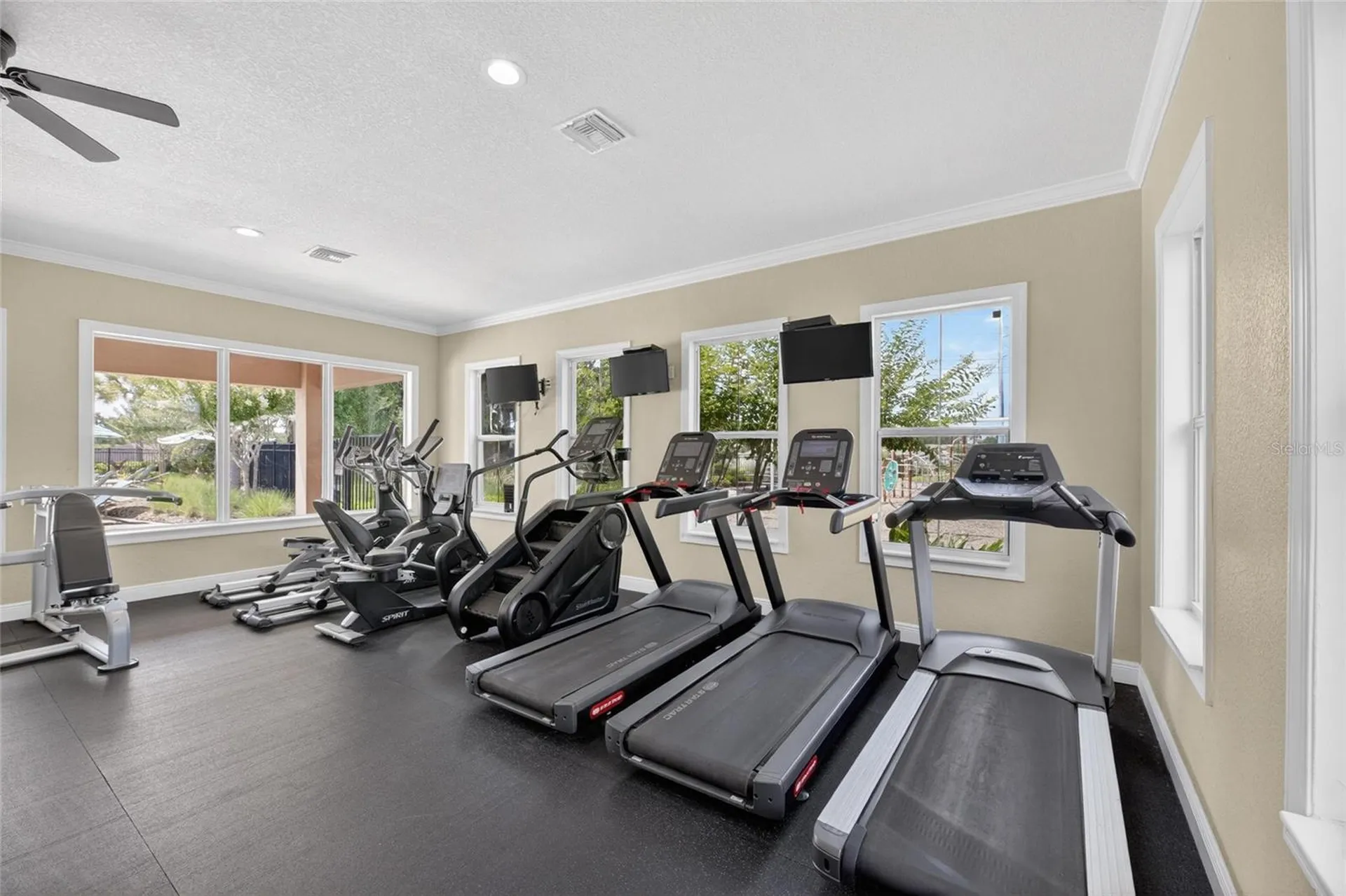 10802 Great Cormorant Drive Riverview FL 33579