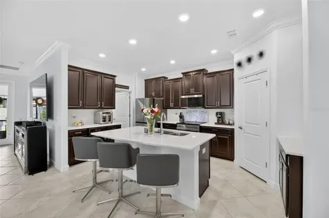 10802 Great Cormorant Drive Riverview FL 33579