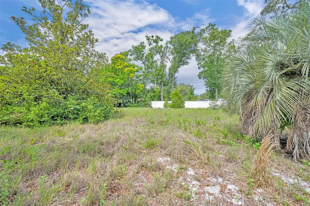 1500 Paula Drive Apopka FL 32703