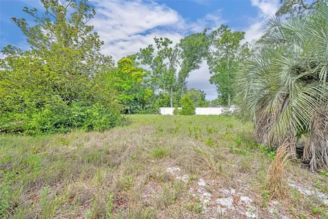 1500 Paula Drive Apopka FL 32703