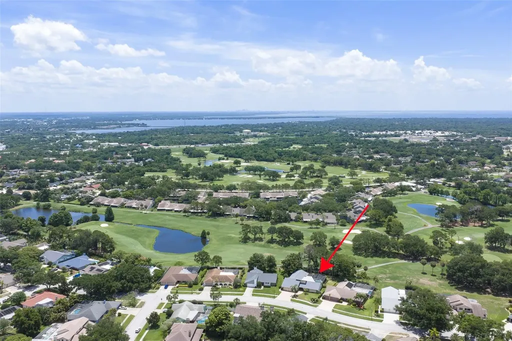 3119 Hyde Park Drive Clearwater FL 33761